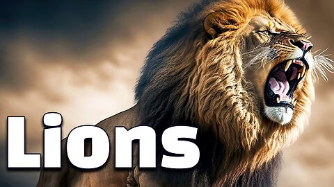 10 Amazing Facts of Lions | All about Lions for Kids