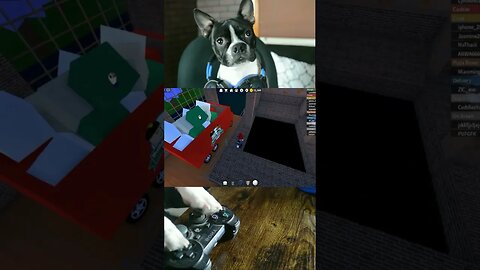 Dog Playing Roblox! - Opens a Pizza Place #shorts #roblox #gamerdog #videogames #fyp