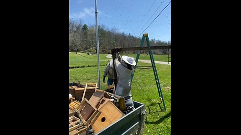 Caught a swarm today