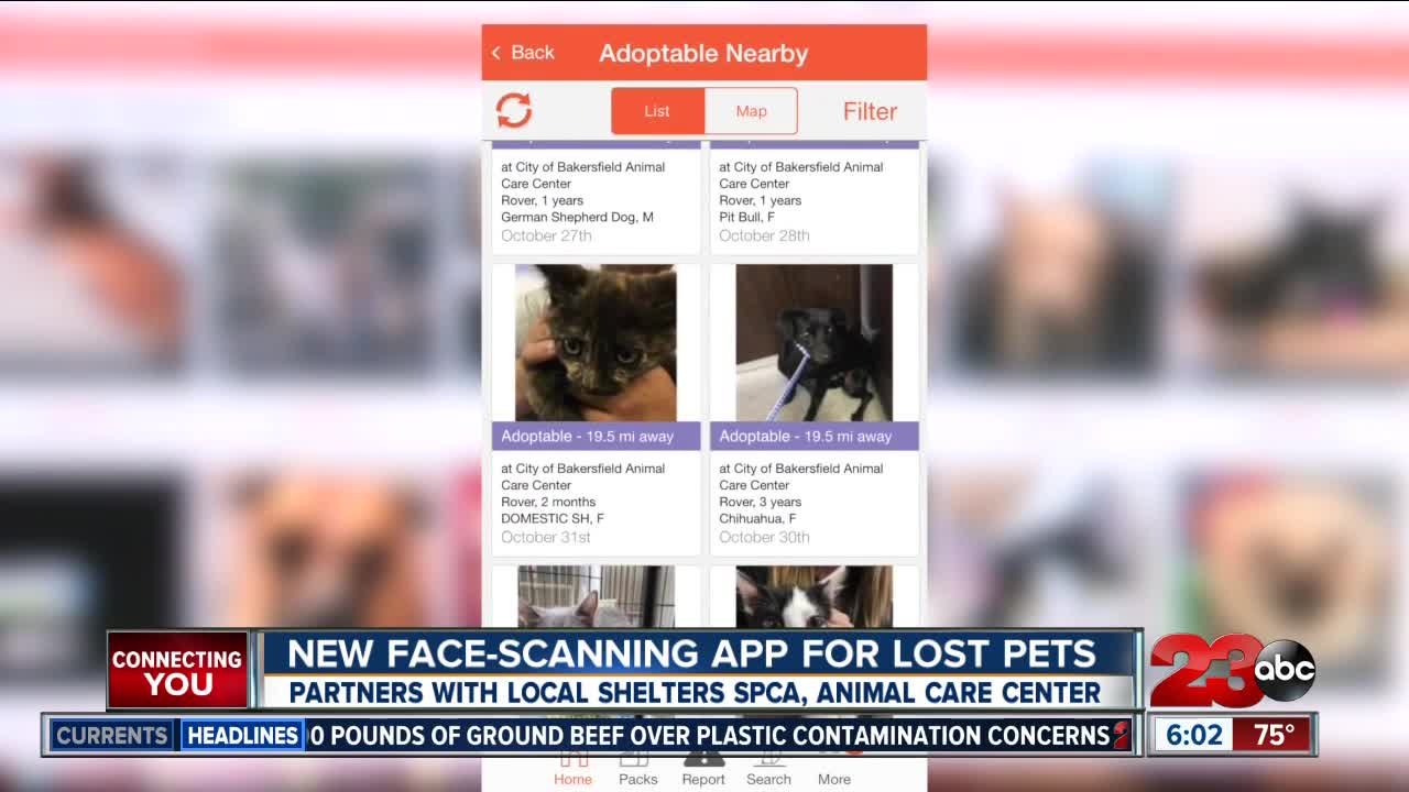 New Face-Scanning app for lost pets