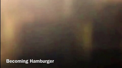 Becoming Hamburger in the fog