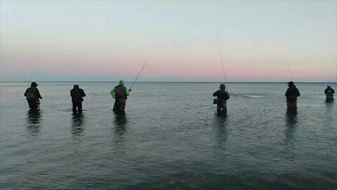 Lakeshore Angling