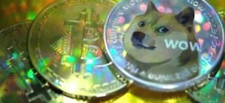 Dogecoin frenzy explained