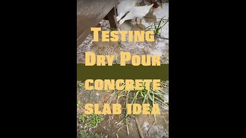 🙄#Dry pour #concrete slab test #shorts, 😓 cement issues we found up to this 9month update.