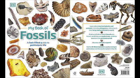 My Book of Fossils: A fact-filled guide to prehistoric life