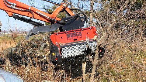 UTTER DESTRUCTION AND LONG REACH! Satisfying Pond Cleanup