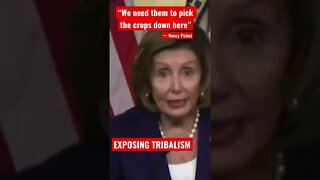 Nancy Pelosi Explains Why Migrants are needed in Florida 🤯