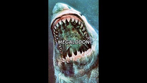 Is Nasa Hiding The Worlds Last Megalodon?