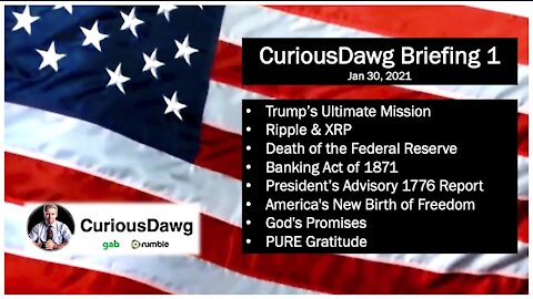 CuriousDawg Briefing 1 - Jan, 30, 2021