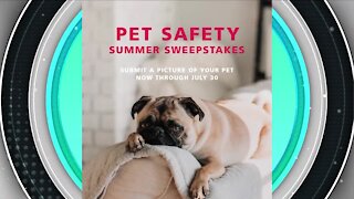 Summer Sweepstakes // Kidde Home Safety