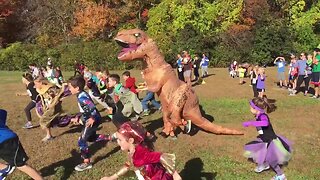 Dinosaur Fails