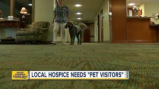 Local hospice needs calm, friendly dogs to help comfort and relax patients