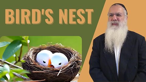 Mishna Brachot Chapter 5 Mishnah 3. Bird's nest