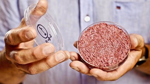 First Company To Lab Grow Meat - Clean & Cultured - Memphis Meats