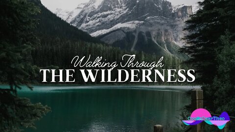 1 Hour Nature Walk 🌿 || Walking Through the Wilderness || Ambient Nature Sounds with Walking