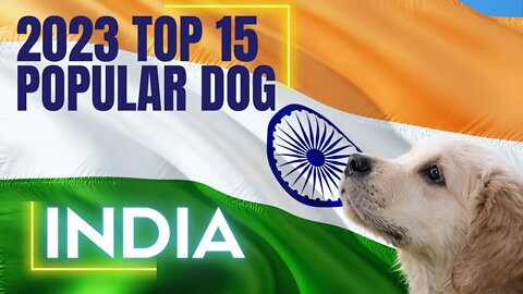 2023 15 Top Popular Dogs in India