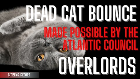 Dead Cat Bounce & Atlantic Council Overlords