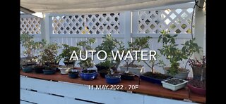 Auto Water