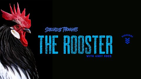 The Rooster with Andy Roos
