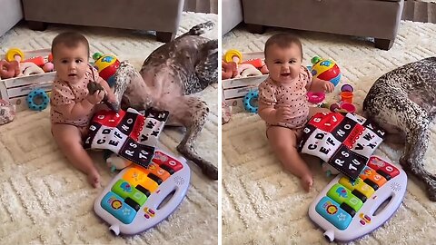 Curious Baby Humorously Attempts To Eat Dog's Foot
