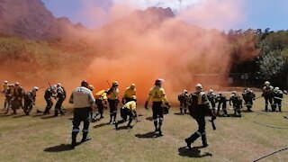 SOUTH AFRICA - Cape Town - SANParks Media Demonstration (Video) (2gw)