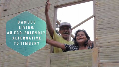 Bamboo Houses: Rebuilding a sustainable community