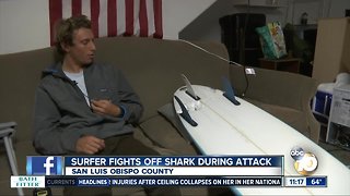 Surfer fights off shark