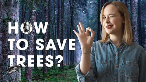 How mites can save trees from bark beetle outbreaks