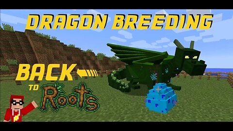 Minecraft FTB HermitPack - Back to Roots ep 7 - Breeding Dragons and Dragon Eggs