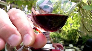 Chilling & Sampling Liqueurs in Our Patio Garden [ASMR, Drinking, Open Discussion, Recipes, Relax]