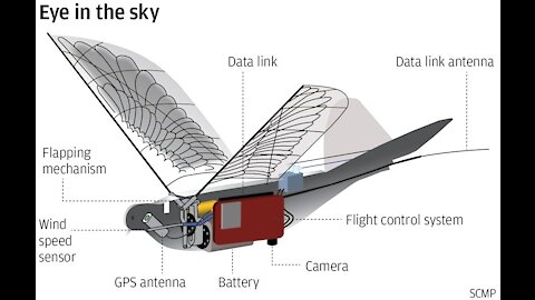China Using Robotic Drone Birds for Surveillance