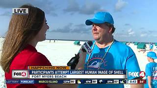 National Sea shell Day on Fort Myers Beach