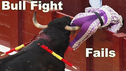 Bullfighting festival funny crazy bull fails funny videos
