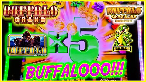 BUFFALOOO! 3 VERSIONS WHICH IS BEST? Buffalo Grand, Buffalo Gold, Buffalo Deluxe Fast Cash