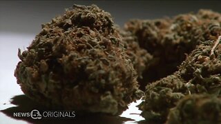 Ohio law enforcement now has proper equipment to differentiate between marijuana and hemp