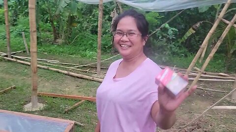 hydroponic farm wond damage typhoon egay