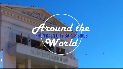 Around the World - Khon Kaen City Bats and Birds