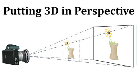 Laboratory Project: Putting 3D in Perspective