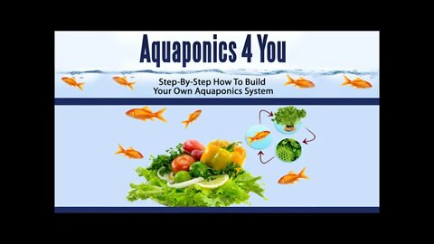 5 Things You Should Take Into Consideration When Building an Aquaponic System