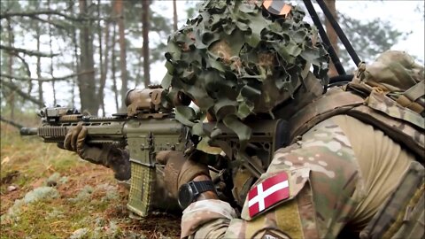 Danish soldiers deployed to Latvia under NATO conduct live-fire exercise