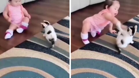 Cute baby fighting with the kitten