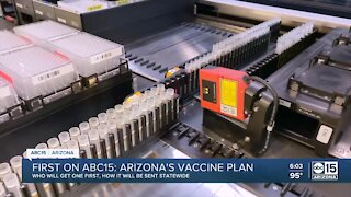 Arizona's COVID-19 vaccine plan