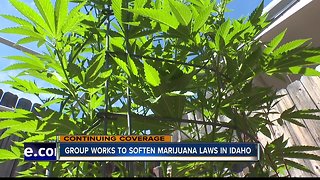 Group works to soften marijuana laws in Idaho