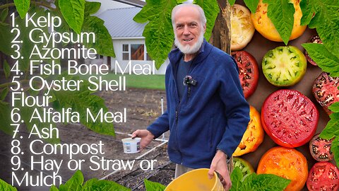 Organic Garden Secrets For Healthy Soil! Best Soil Nutrients 4 Growing World Record Giant Tomatoes!