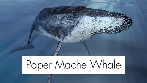 Making a Giant Paper Mache Whale