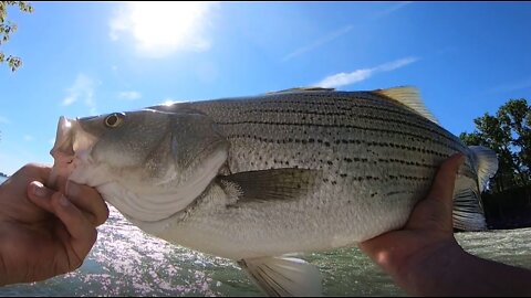 WIPER - Hybrid Bass - Johnson Lake Inlet on August 11, 2022