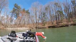 Fisherman dives in headfirst to catch fish