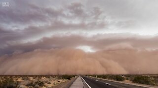 How to Survive a Monster Sandstorm