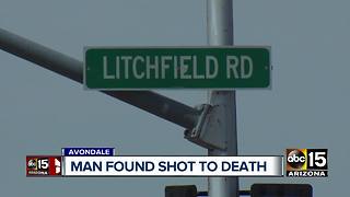 Man found shot and killed in Avondale