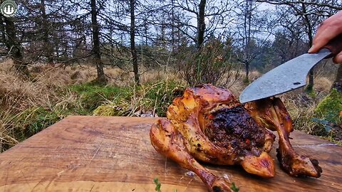 Whole CHICKEN cooked outdoors | (ASMR cooking, Relaxing Sounds, Camping, 4K)